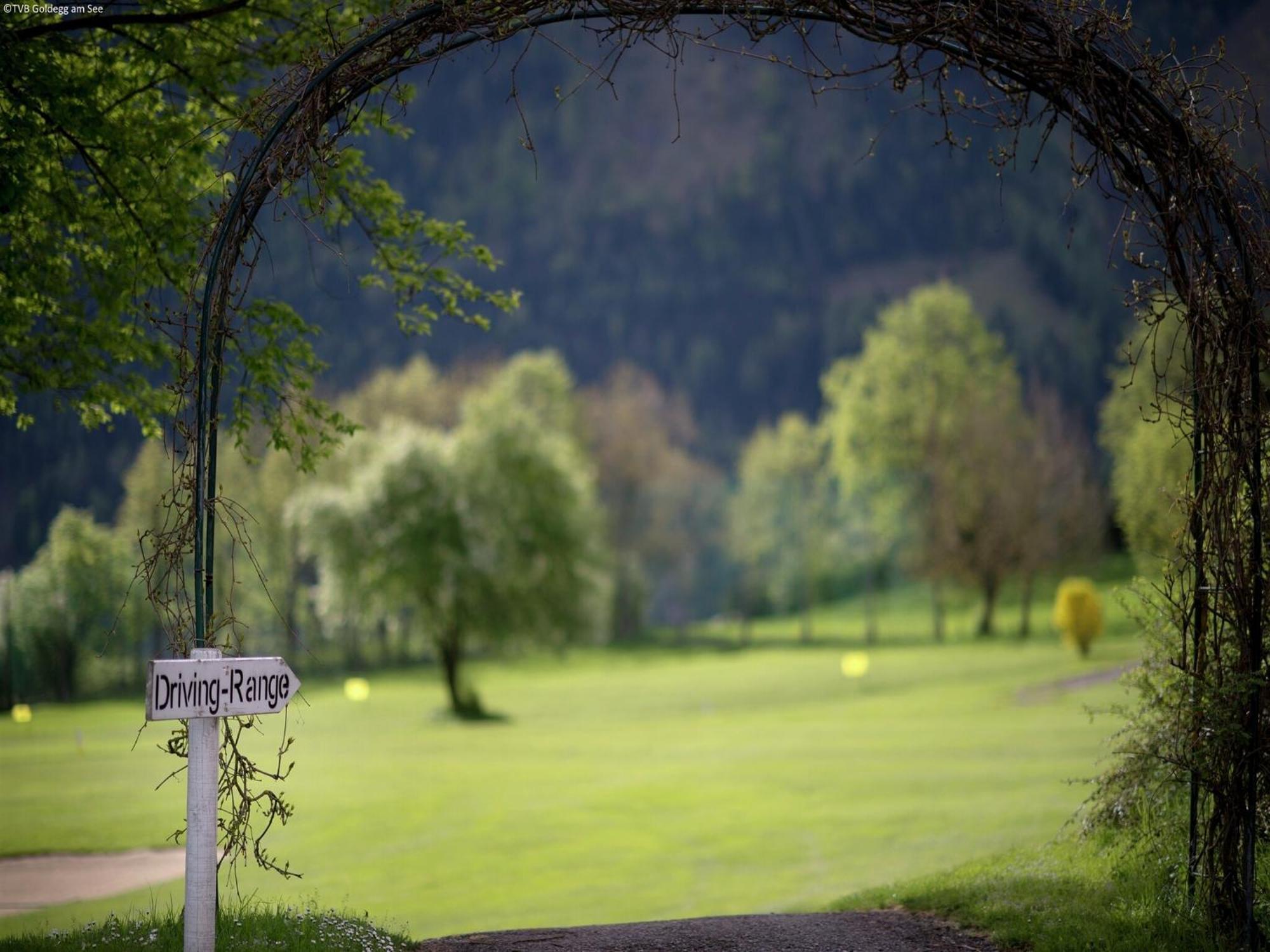 Quaint Mansion Near Ski Bus In Goldegg im Pongau Exterior foto